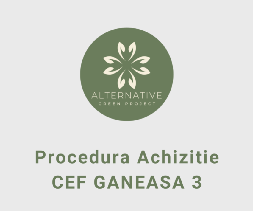 Procedura de achizitie CEF GANEASA 3